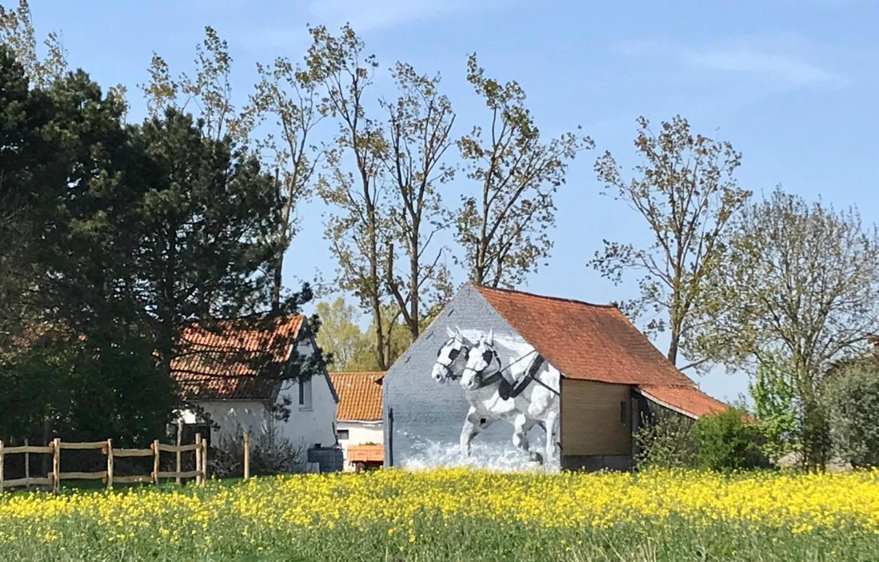 La Ferme Wessiere ξενώνας Oye-Plage Εξωτερικό φωτογραφία